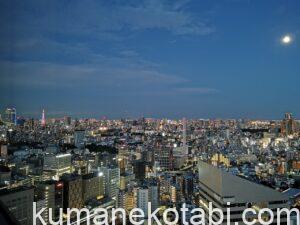 セルリアンタワー東急ホテル宿泊記のブログ、クラブラウンジと絶景の眺望!